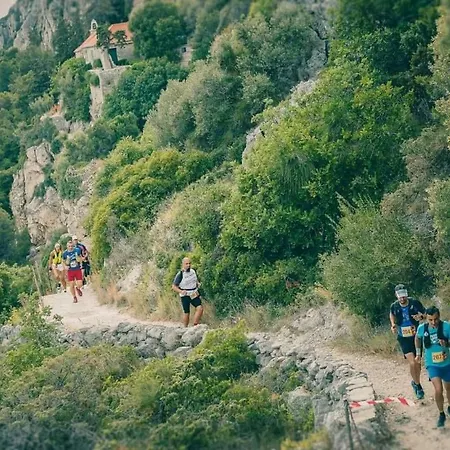 斯拉维卡特罗吉尔公寓 公寓 特罗吉尔