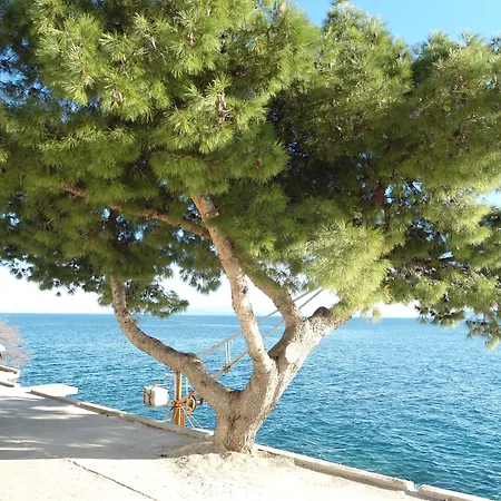 斯拉维卡特罗吉尔公寓 * 特罗吉尔