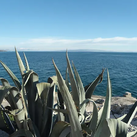 斯拉维卡特罗吉尔公寓 公寓