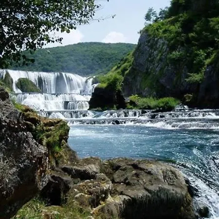 Slavica 트로기르