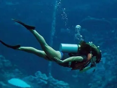 Slavica טרוגיר