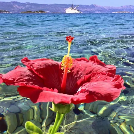 Slavica Apartament Trogir