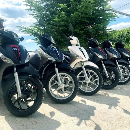 Slavica 아파트 트로기르