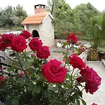 Apartment Apartments Slavica Trogir *